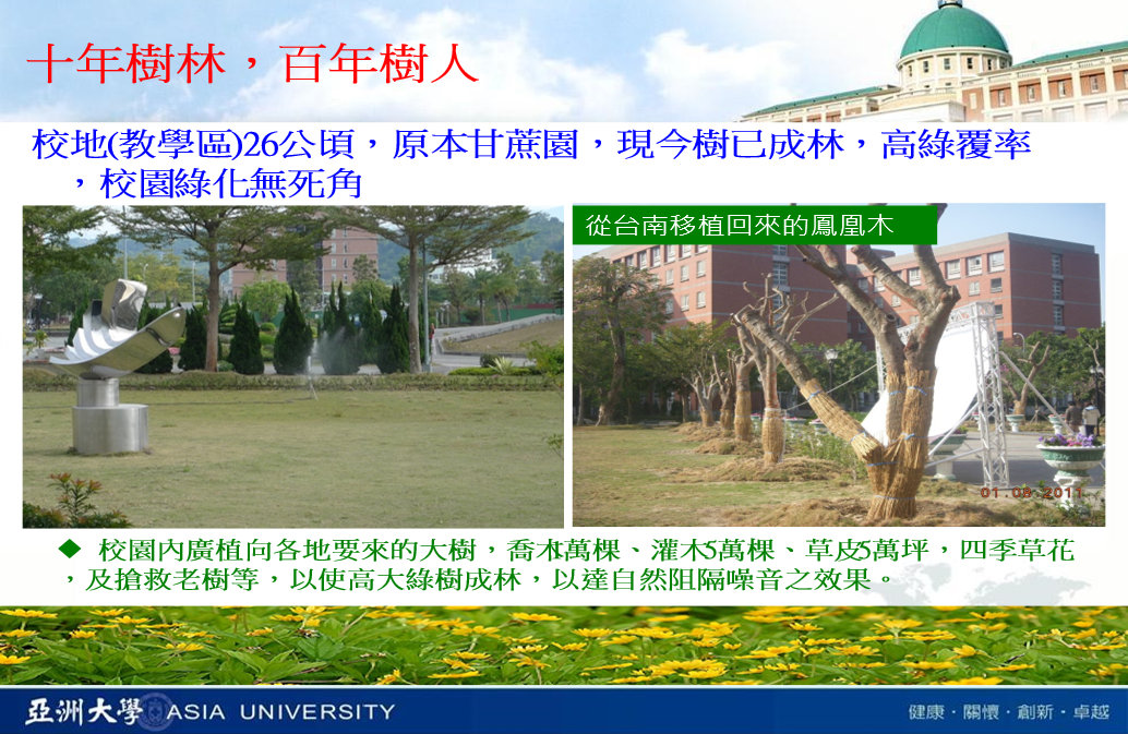 这是一张图片 这是一张图片