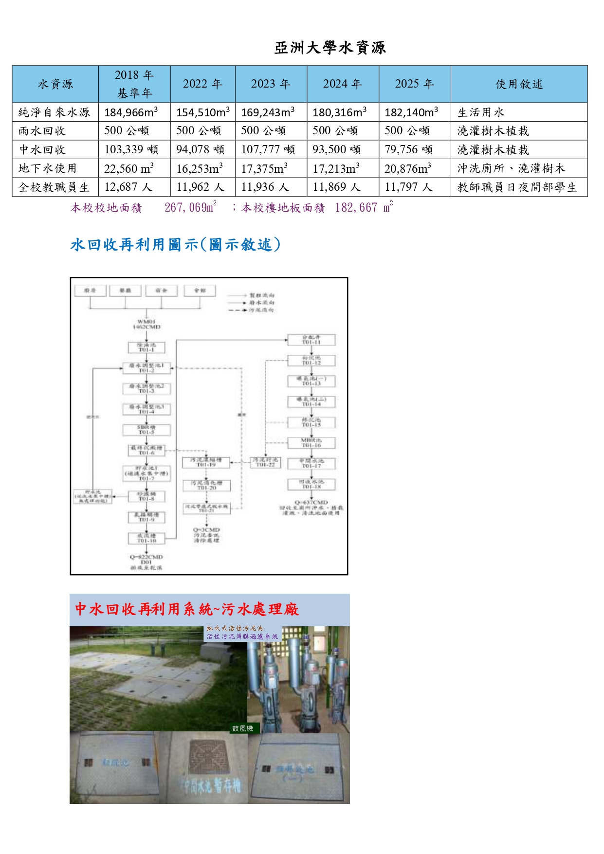 这是一张图片