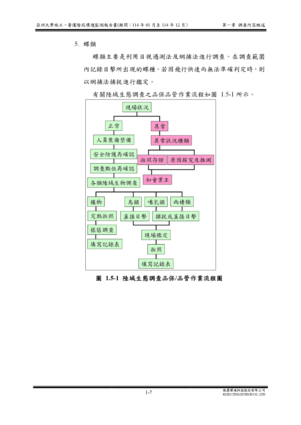 這是一張圖片